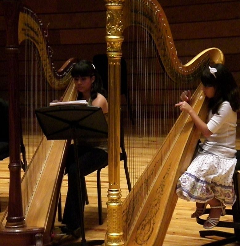 alat musik harp