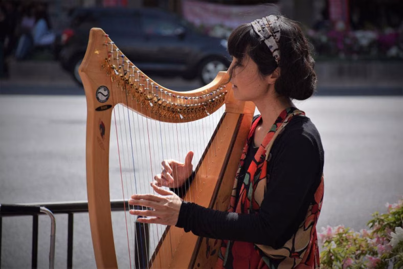 Alat Musik Harpa